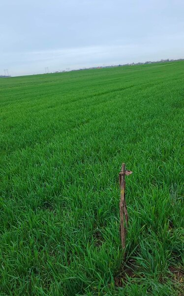 Vadul Anei - Branesti